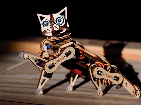 open cat robot kit usa|Nybble Petoi Robot Cat .